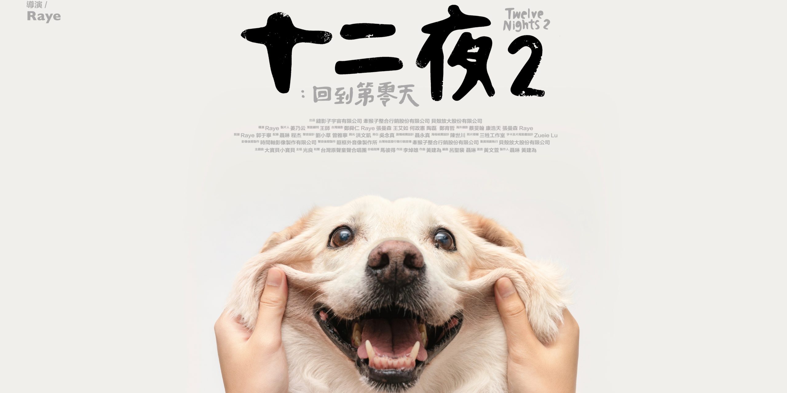 這集很熱血 十二夜2 籲終結流浪毛小孩悲歌 從人的改變看見希望 上下游news Market