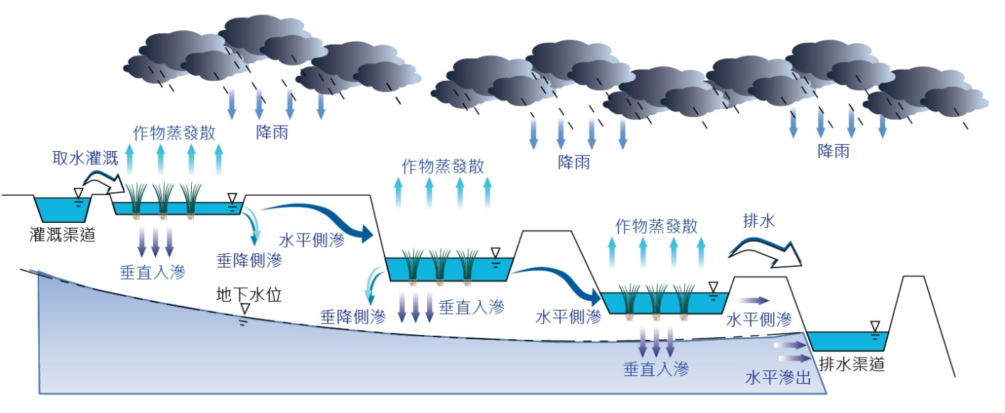 【釋疑】別再傳「農業用掉七成的水」