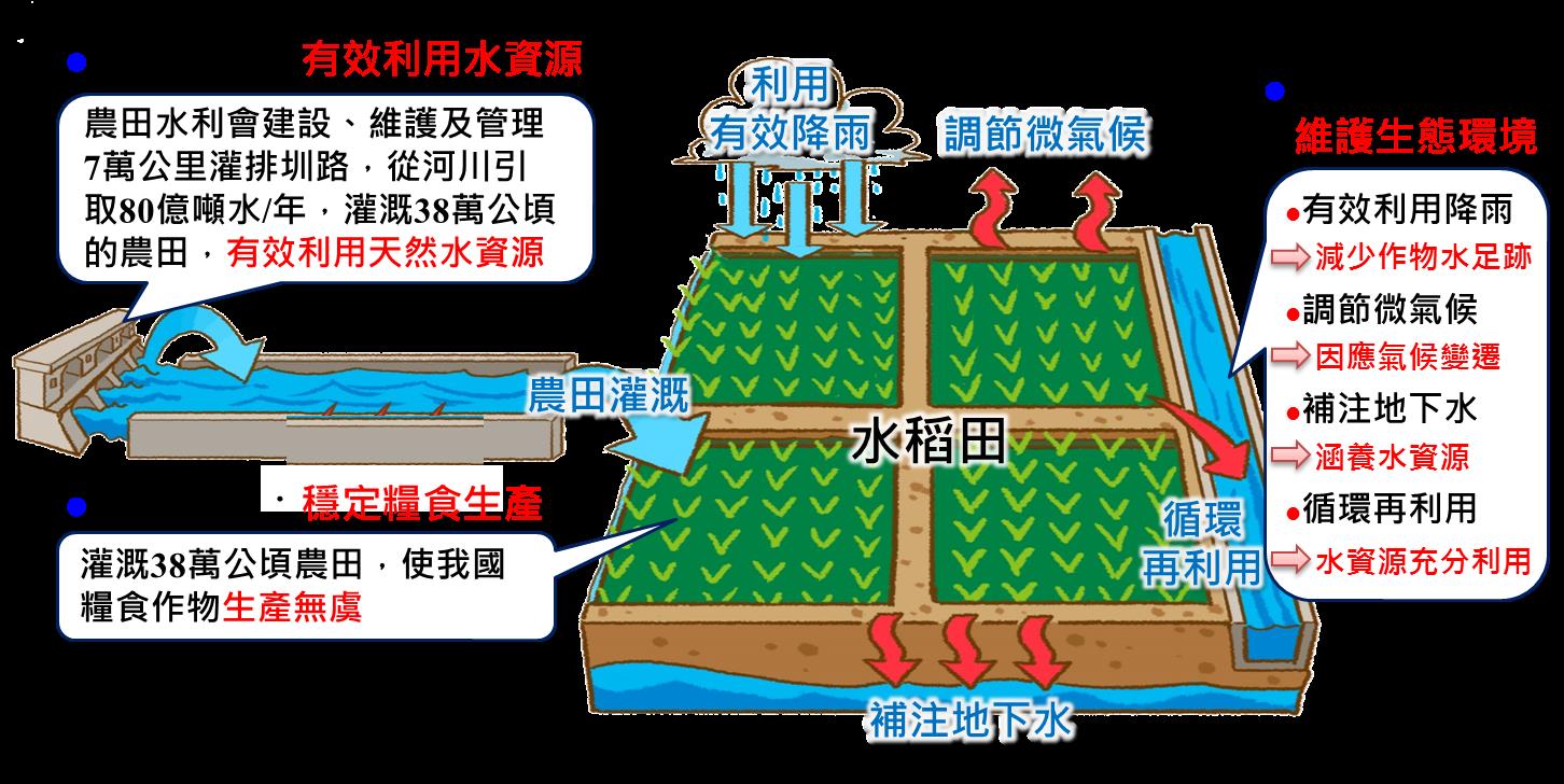 【釋疑】別再傳「農業用掉七成的水」