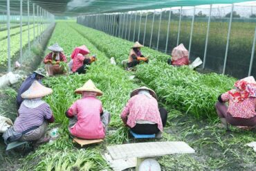 人物文章分類 上下游news Market 人物文章分類 上下游news Market