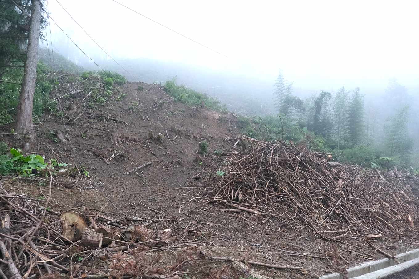 政院堅持露營區 免經同意 即可設置於山坡農地 詹順貴 政治利益考慮掛帥 釀災誰負責 上下游news Market