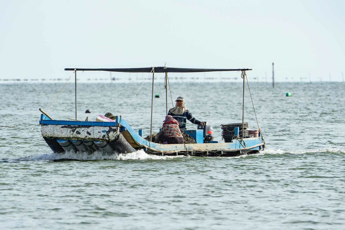 Re: [新聞] 離岸風電威脅海豚和漁民，環團批：環評是