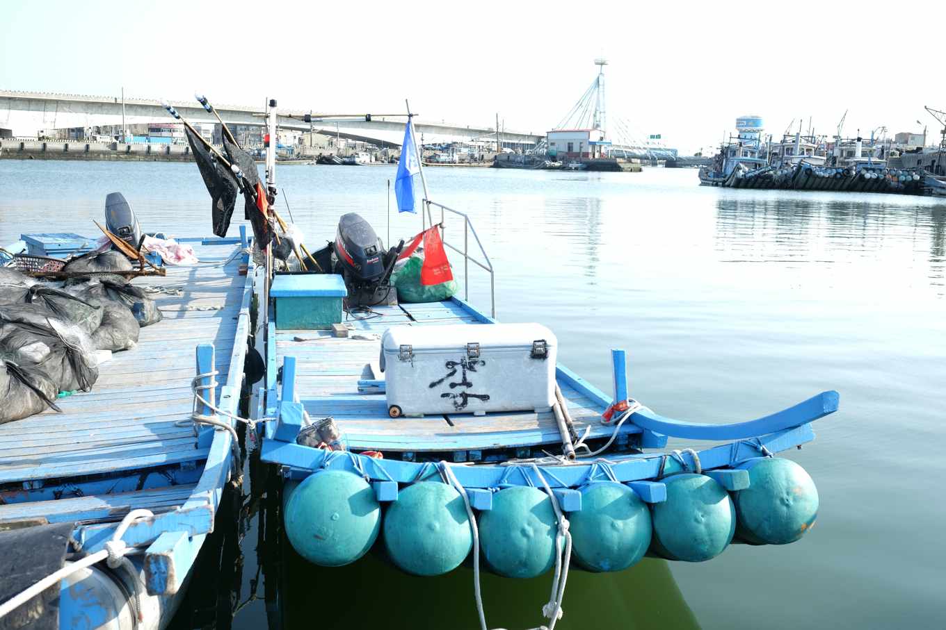 刺網解密01》沿近海刺網非「死亡之牆」，單層、多層刺網對生態影響差異