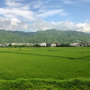 看見社子島02 區段徵收下被撕裂的孤島 親族爭產 里長遭罷免 50年矛盾一次爆發 上下游news Market