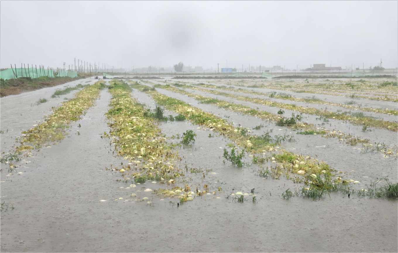 西南氣流農損近3億4千萬，中南部瓜果蔬菜花生受損慘重，高雄桃源成孤島，需空投糧食| 上下游新聞