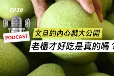文旦的內心戲大公開！老欉才好吃是真的嗎？