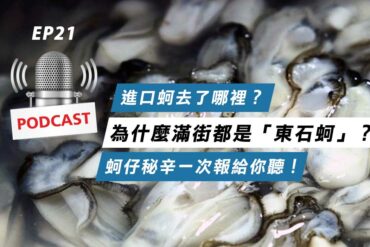 為什麼滿街都是「東石蚵」？進口蚵去了哪裡？
