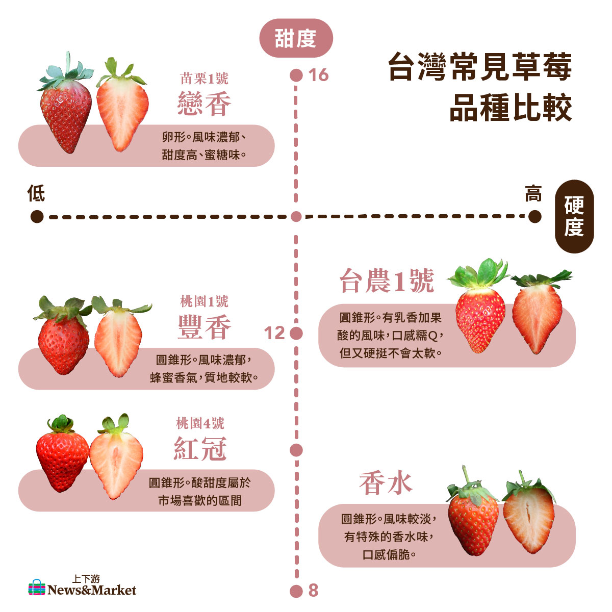 草莓秘密 草莓竟然不是莓 真的都從大湖來 10個qa秒懂草莓 上下游news Market