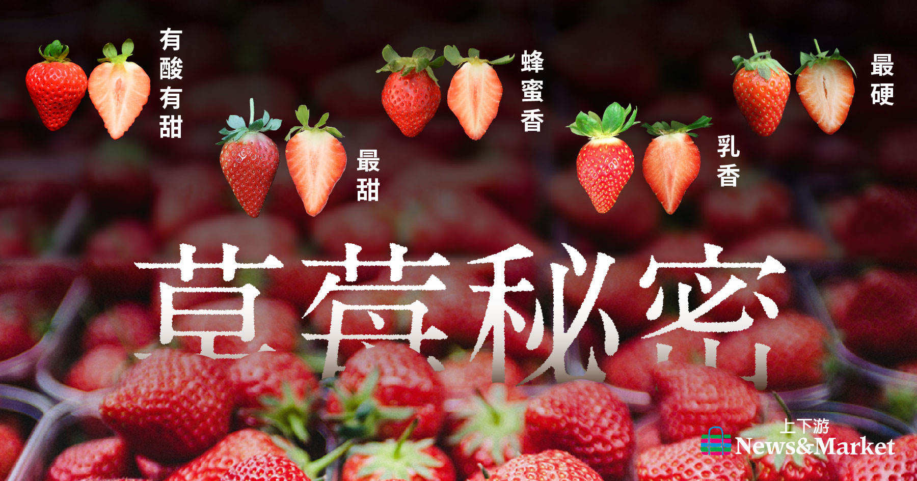 73+ 图片 草莓 新的 39 草莓秘密】草莓竟然不是莓?真的都從大湖來?10個QA秒懂草莓| 上下游