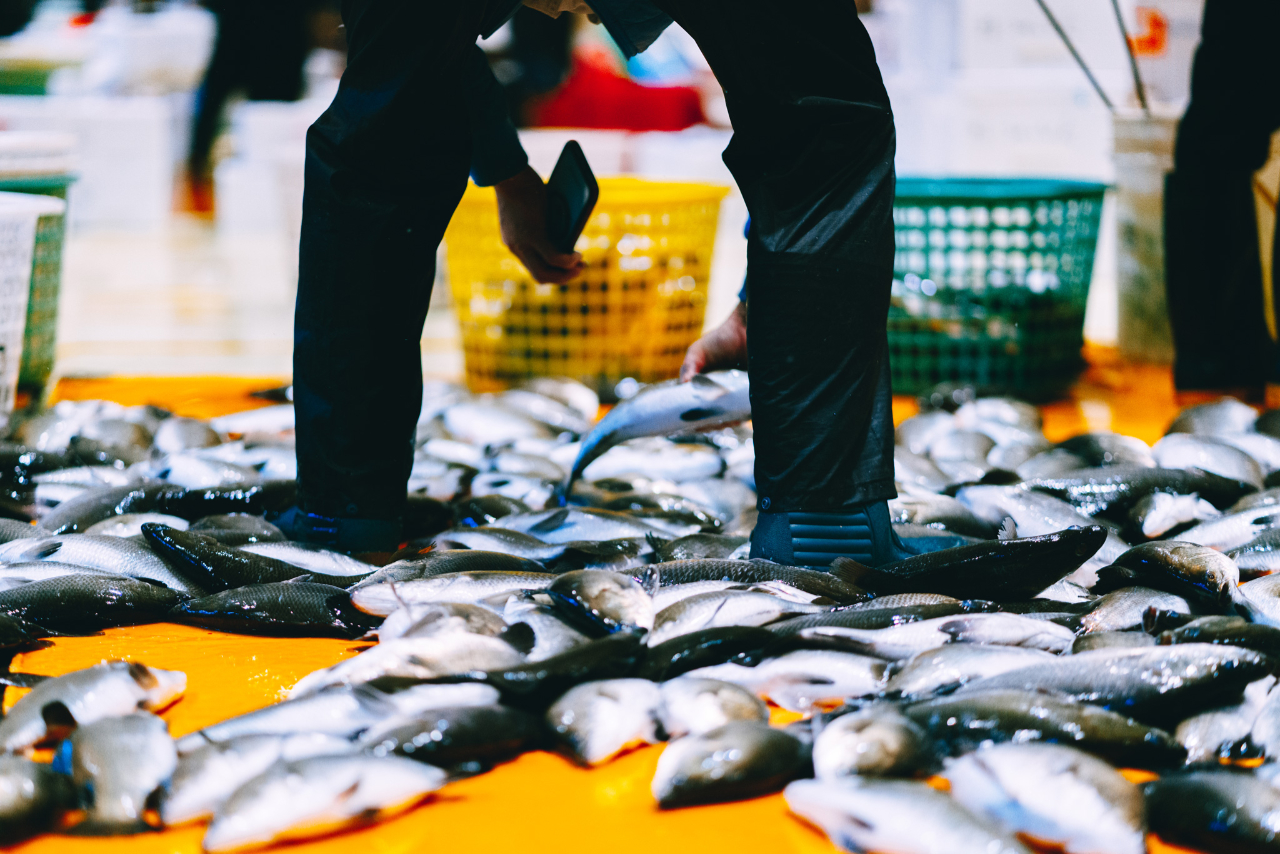 魚販林楷倫以字字珠璣闡述魚販人生。（攝影／賴小路）