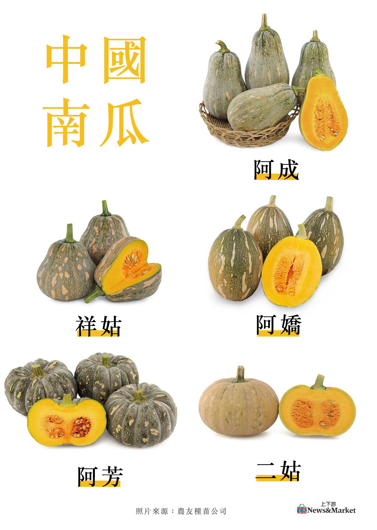 南瓜圖鑑 萬聖節的南瓜是哪一種南瓜 阿嬌李白櫛瓜北瓜通通是南瓜 快來認識南瓜家族 上下游news Market