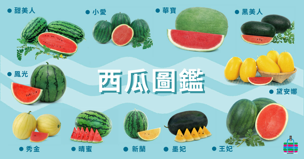 56+ 图片 西瓜 新的 43 西瓜秘密》小玉不是西瓜芳名,西瓜怎麼挑最好吃?吃過炭烤西瓜嗎? | 上下游