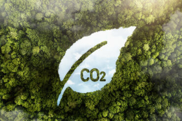 rsz_1rsz_view-green-forest-trees-with-co2