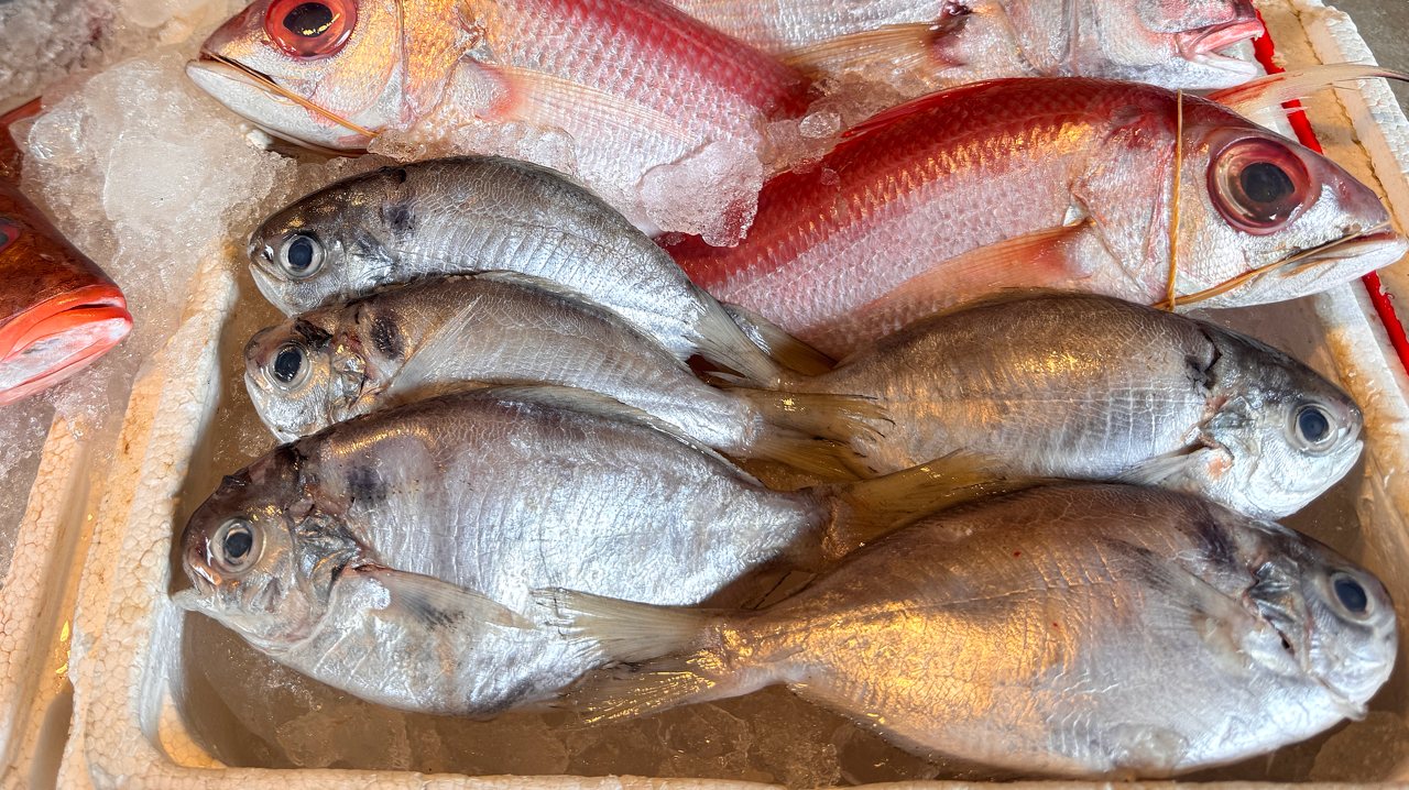 Re: [問卦] 台灣四面環海結果在吃台灣鯛？