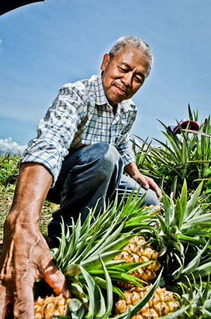 果然台湾:果农种出在地的幸福
