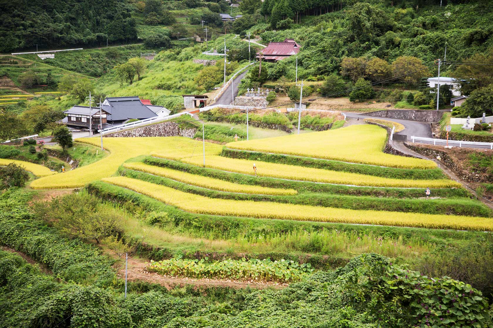 美作市上山。攝影 / 近藤悟