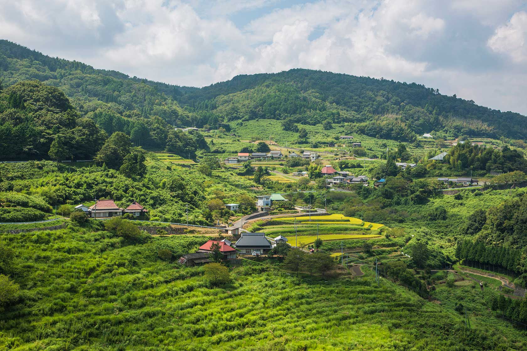 美作市上山地區梯田。攝影 / 近藤悟