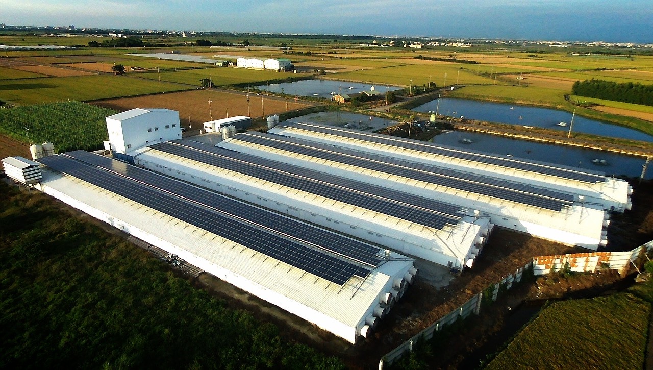 嘉義縣養雞協會理事長吳永賜將雞舍屋頂出租給綠能業者裝設太陽光電板。