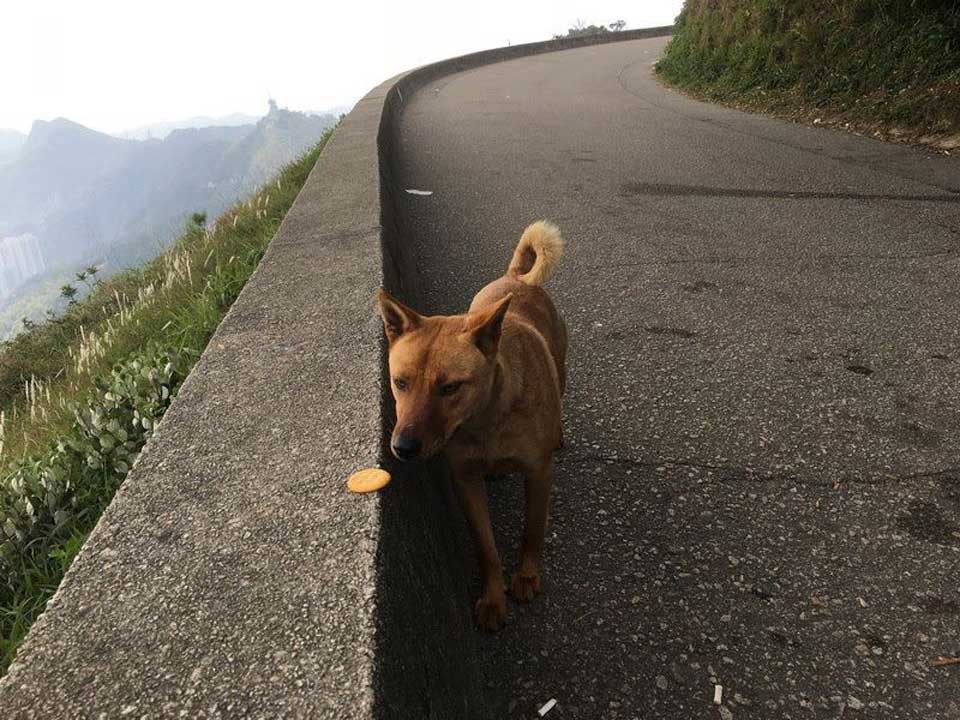 攝影/劉克襄