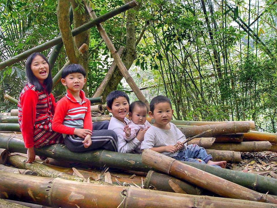 七年前,五個孩子,由左至右是老大光妹、老三光野、老二光棣抱著老五光妞、老四光然在水流東竹林裡排排坐。攝影/徐彩雲