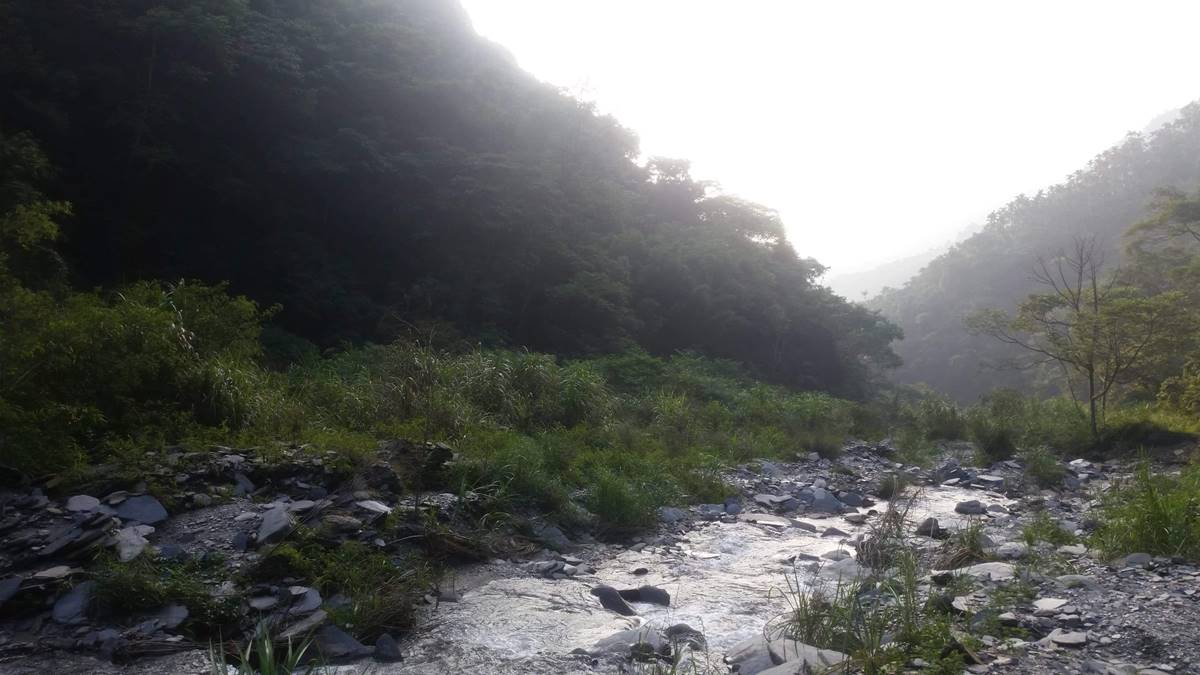 雨後的小溪。（攝影／林敬峰）