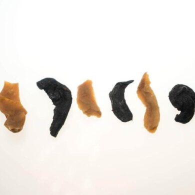 各種年分的蘿蔔乾（攝影／劉振祥）