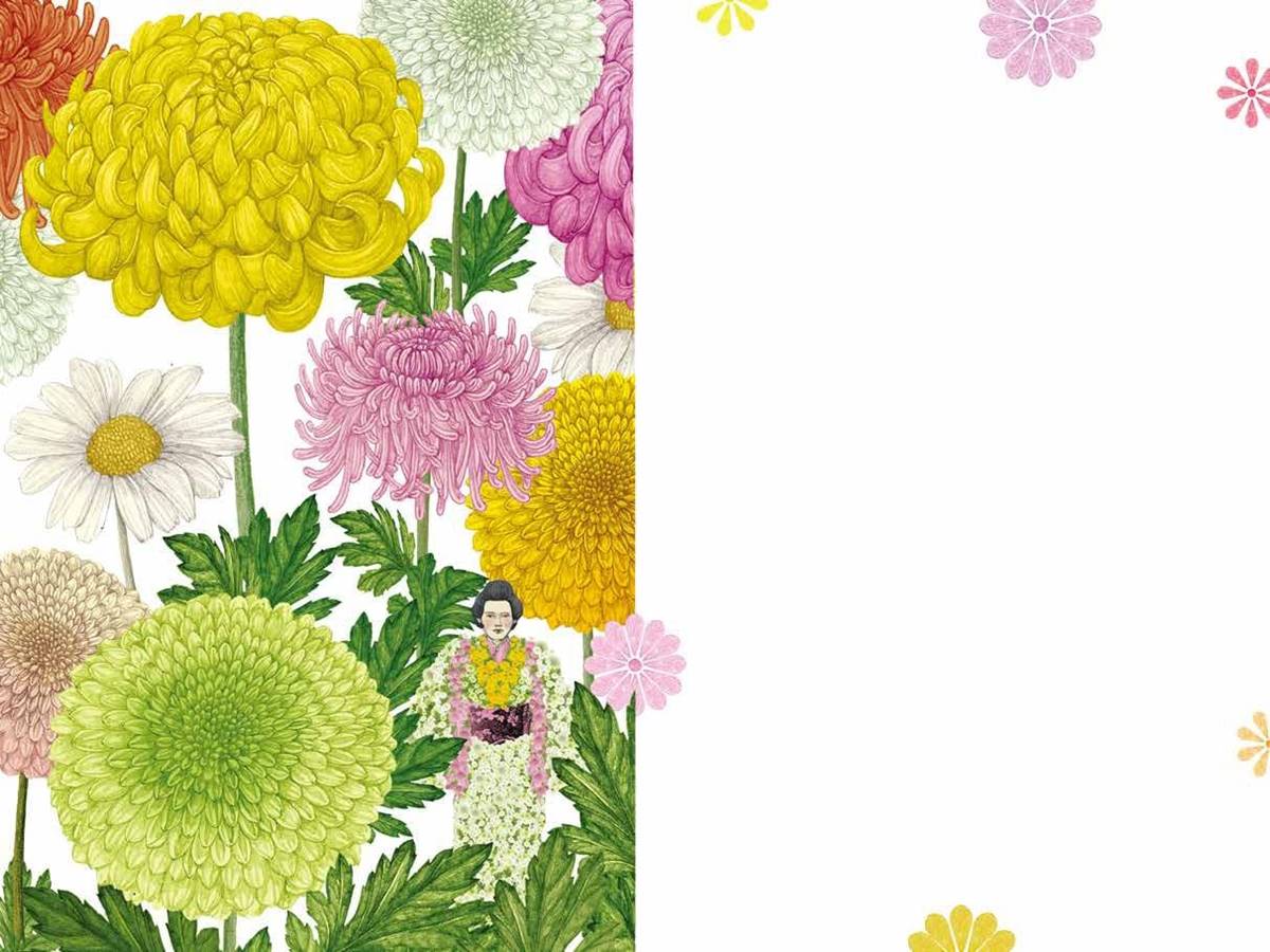 菊在紐奧良、部分東歐地區以及特別是義大利代表哀悼。在其他地方則有快樂的含義,尤其是在遠東代表吉祥。(繪圖/綠西兒.克雷克Lucille Clerc)