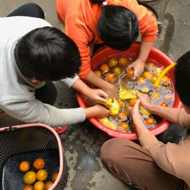 採橘子是過年的勞動儀式，孩子一邊吃一邊合影，由左至右老三光野、老五光妞、老四光然、老大光妹和老二光棣。(攝影/徐彩雲)