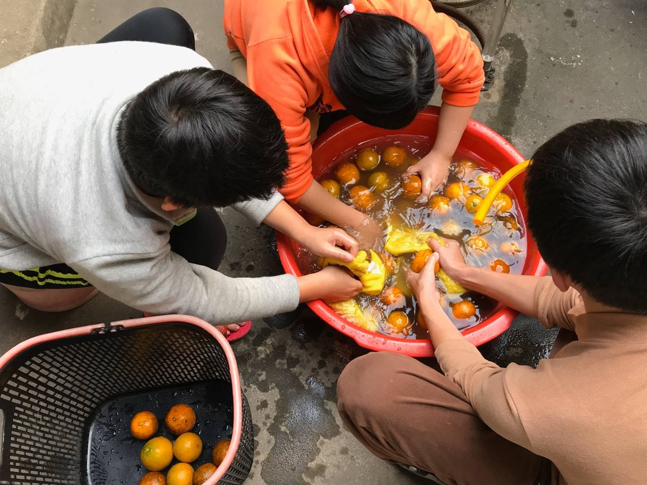 採橘子是過年的勞動儀式，孩子一邊吃一邊合影，由左至右老三光野、老五光妞、老四光然、老大光妹和老二光棣。(攝影/徐彩雲)