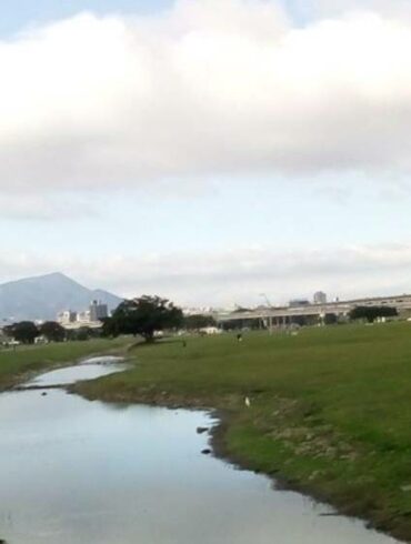 河濱公園野花草繁茂。（攝影／周姚萍）