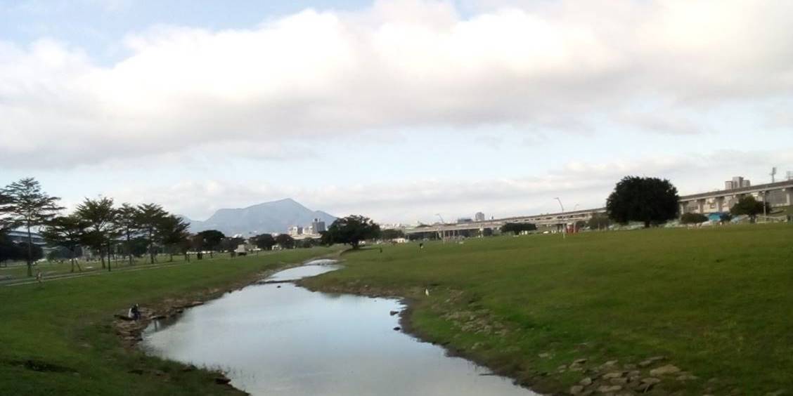 河濱公園野花草繁茂。（攝影／周姚萍）