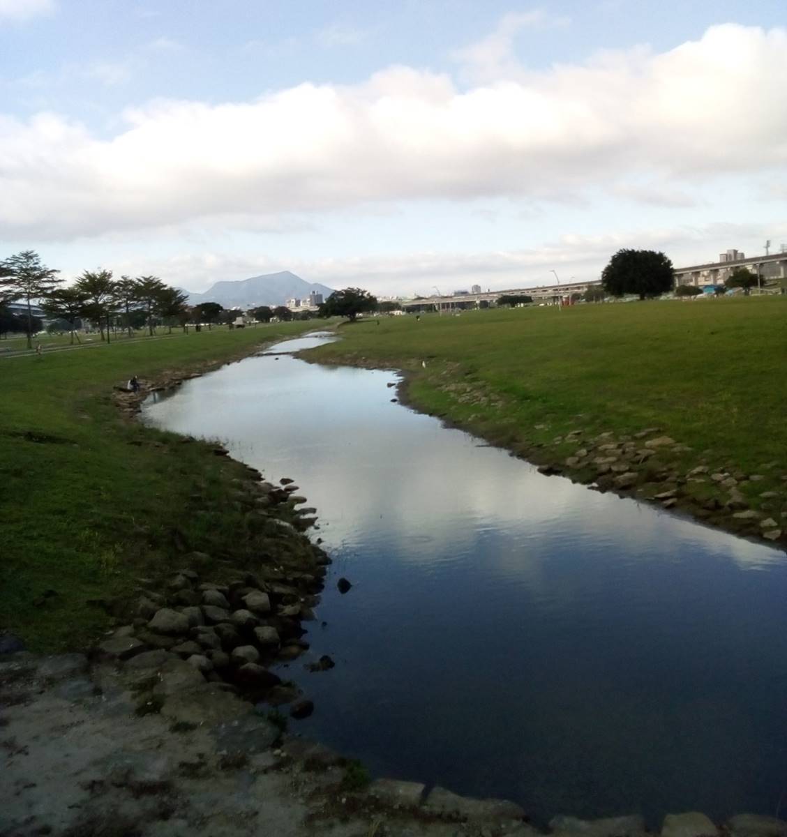 河濱公園野花草繁茂。（攝影／周姚萍）