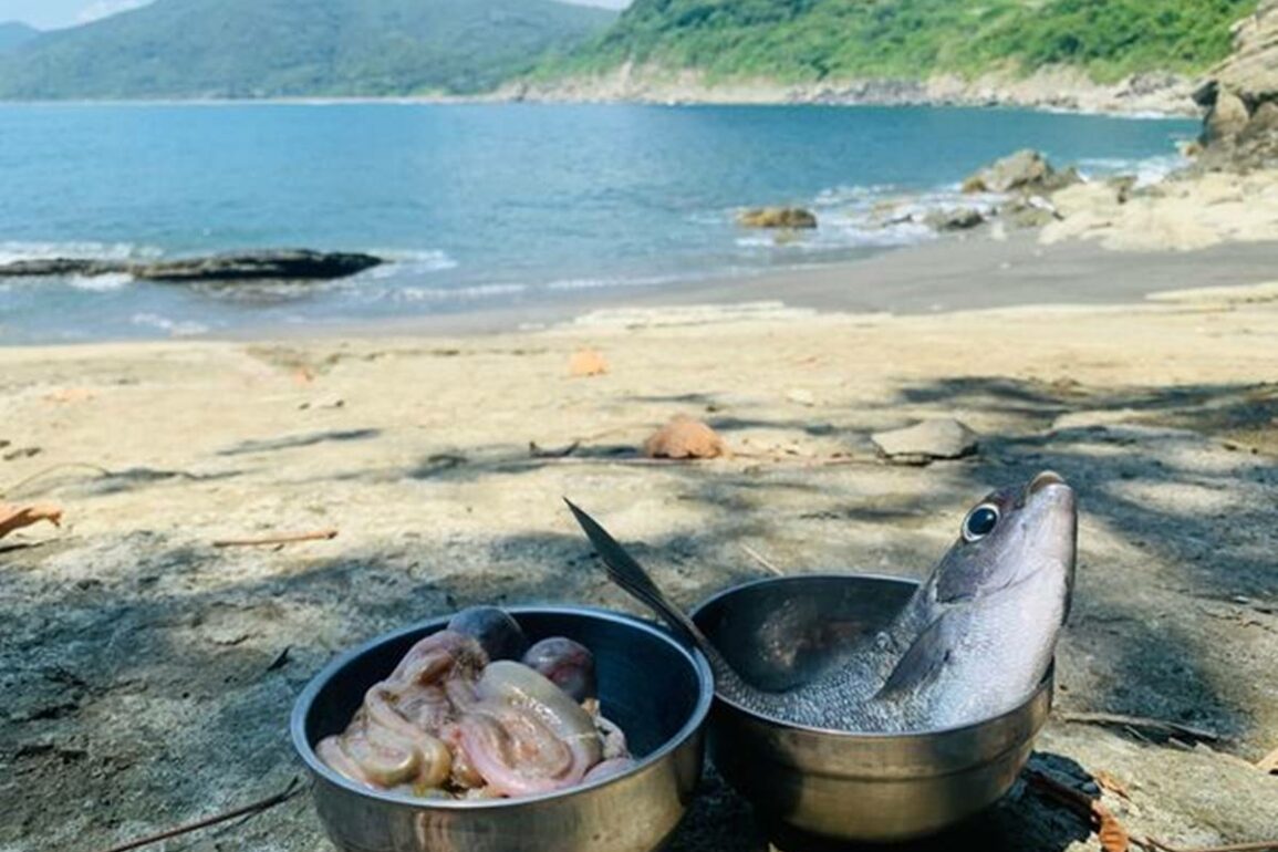 水中鑽地鼠──鰍鮀與小鰾鮈(下) | 上下游副刊