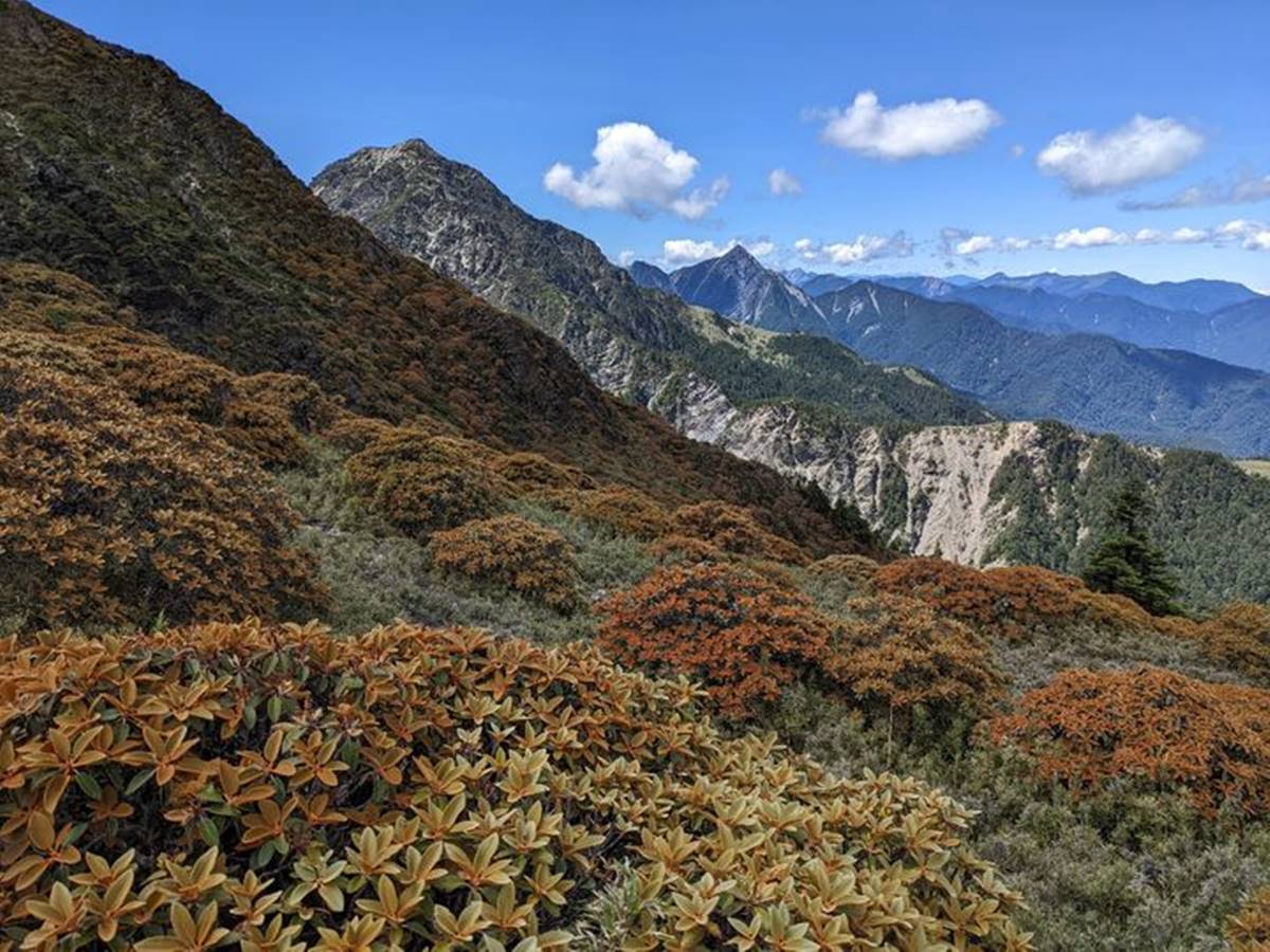 副刊二四四期 | 我登山，山登我