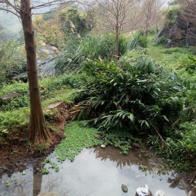 魔法山一景。(攝影/周姚萍)