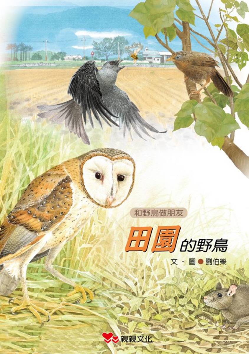 田園的野鳥。(照片提供/親親文化)