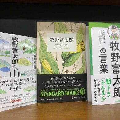 （攝影／張東君）