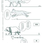 （圖／帆）
