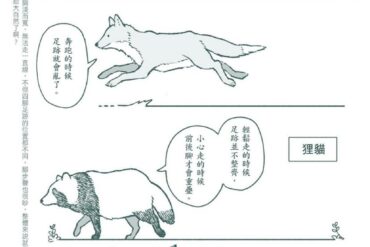 （圖／帆）