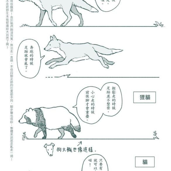 （圖／帆）