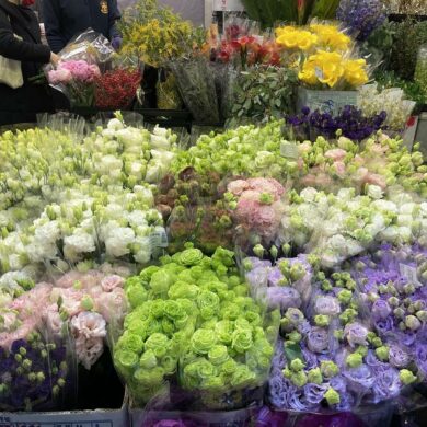 從拍賣市場到屬於花的賣場，剛好盛開，那是死去的花最好的模樣。(攝影/古碧玲)