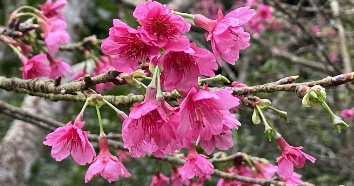 cropped-no304-2-6.jpg