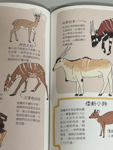 (翻拍自《動物生態解剖書》)