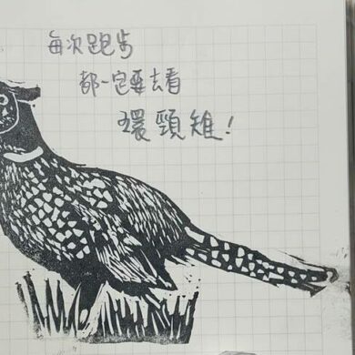 以自己手刻的橡皮章，紀錄跑步途中遇見的環頸雉(攝影/羅紓筠)