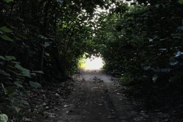 (攝影/湯長華)
