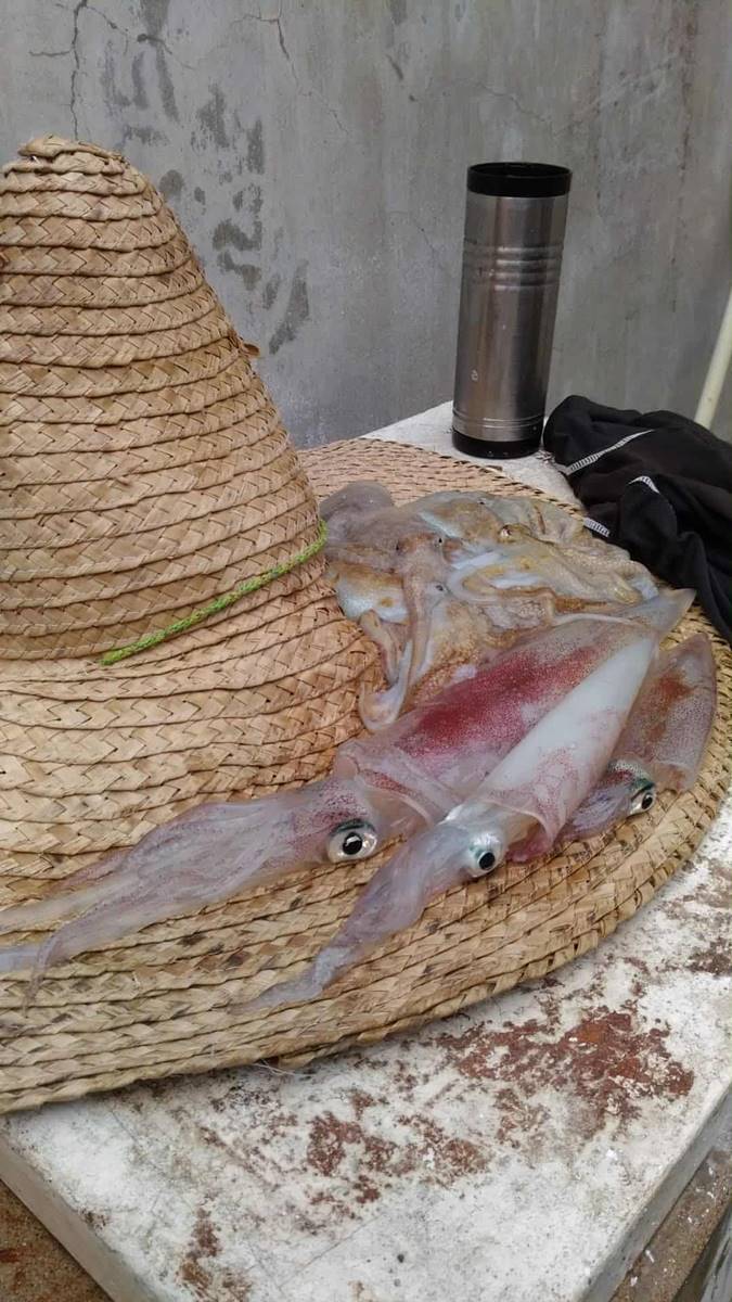 (攝影/土海人)