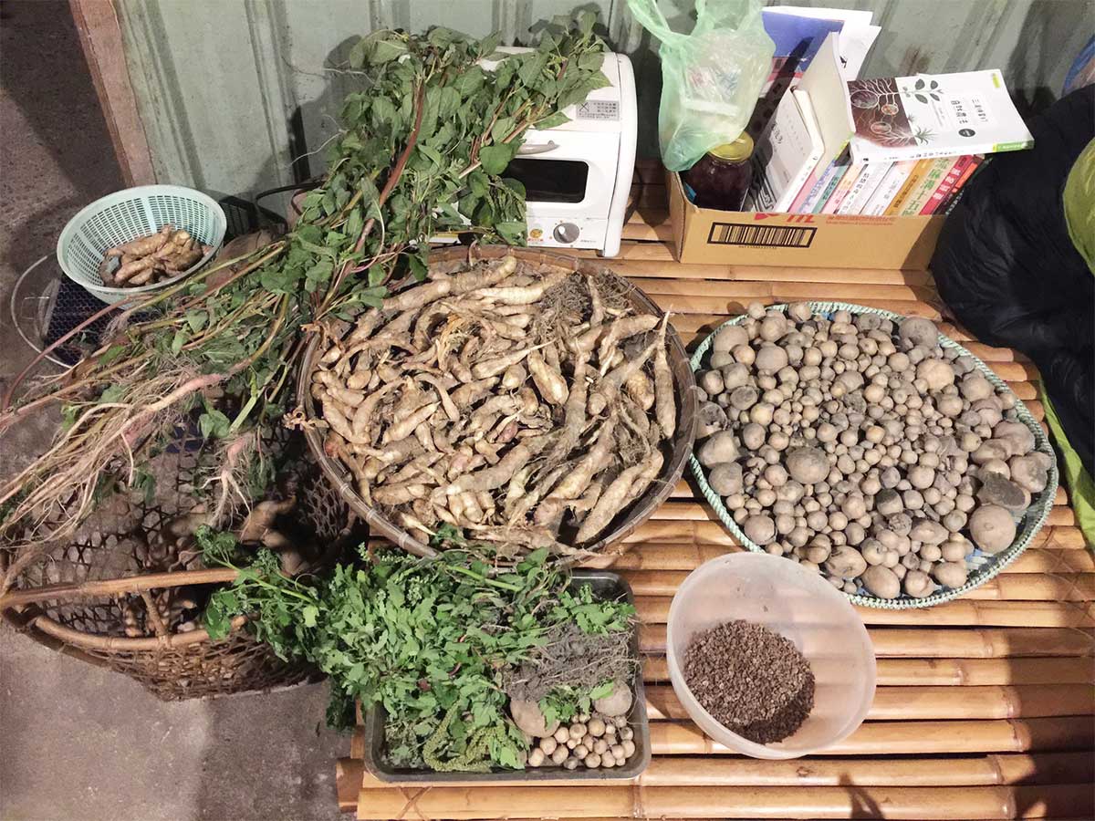 每片土地所長出的植物群集都會是一個基本功能完整的藥房(攝影/楊理博)
