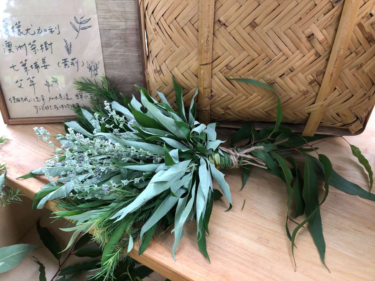 端午節製作埔姜花束,洗個藥草湯浴,醒身醒腦(攝影/陳牖心)