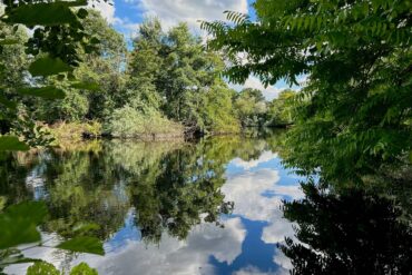 公園的湖面倒映天空(攝影/鄭育慧)