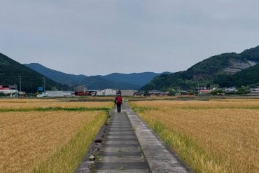 (攝影/譚玉芝)
